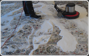 Rug Cleaning Services