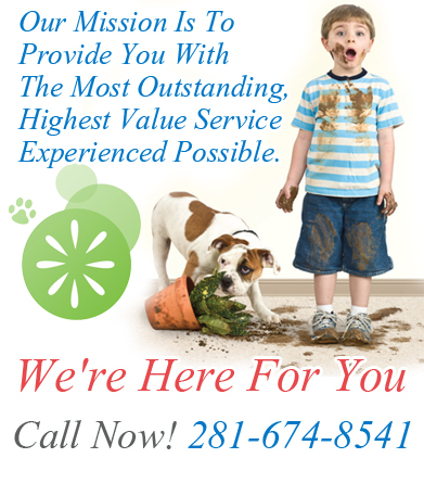 Professional Cleaning Services
